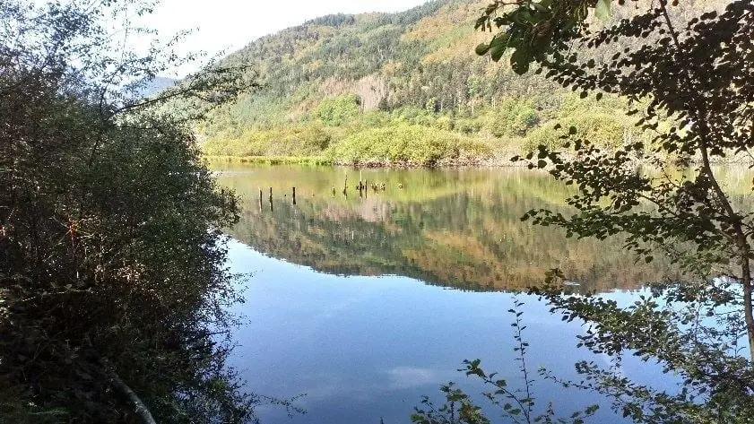 195793388_2252869628176790_6750169663468375666_n